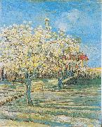 Vincent Van Gogh Flowering orchard Germany oil painting artist